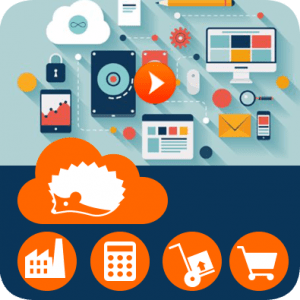 Te ayudamos en la creación de un plan de comunicación online, asesorandote en las campañas a realizar para que la tienda online pueda hacer sus propias ventas sin depender de los portales.