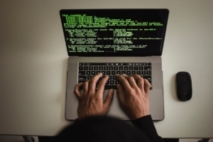 desarrollo web